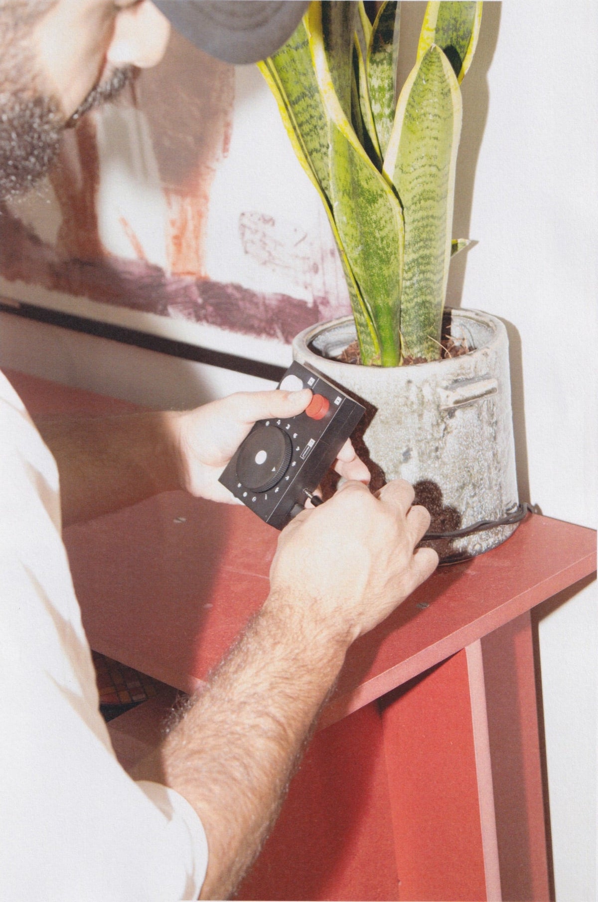Hands holding the NTS Radio Player next to a potted plant