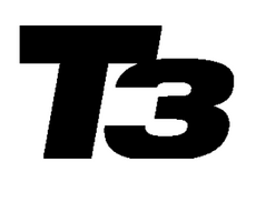 T3